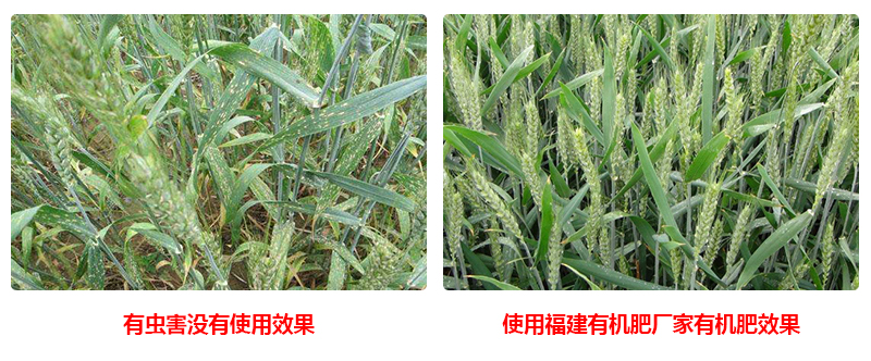 生物有機肥批發(fā)