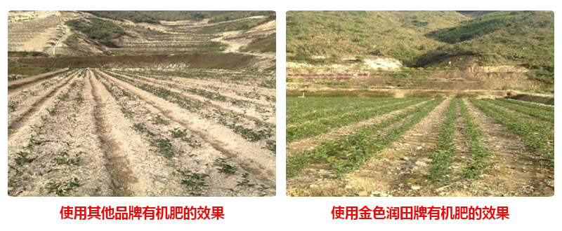 生物有機(jī)肥工廠